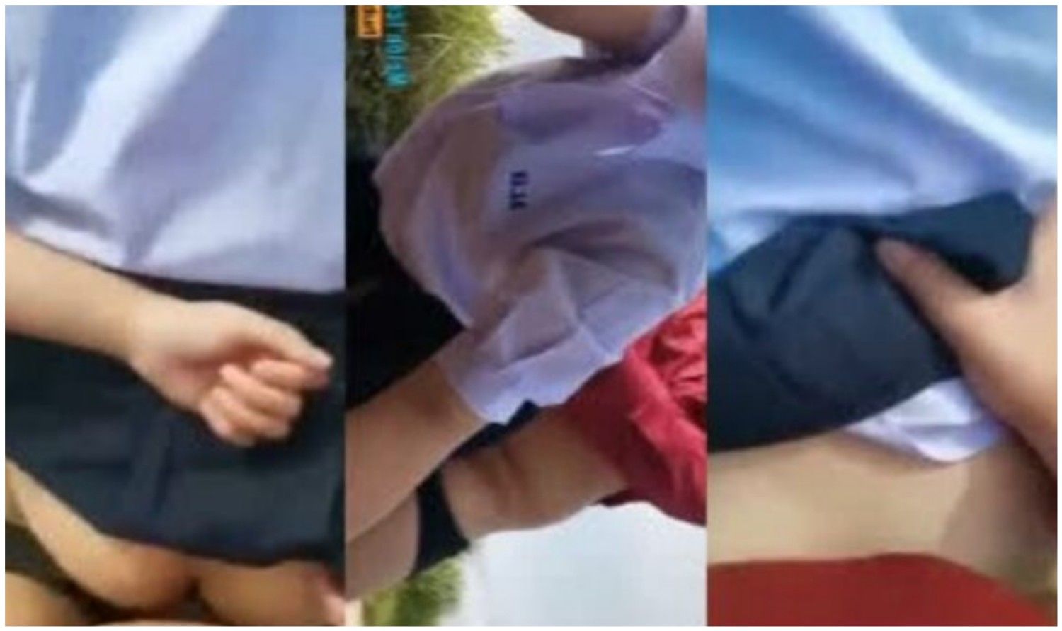 တောထဲမှာ ရှယ်ကုန်းတဲ့ ပါကင်အငုံးလေး